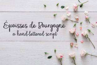 PN Époisses De Bourgogne: A Bouncy Script Font for Crafters